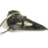 Aksessuaar "Crow's Skull" NLG-08 - Image 3