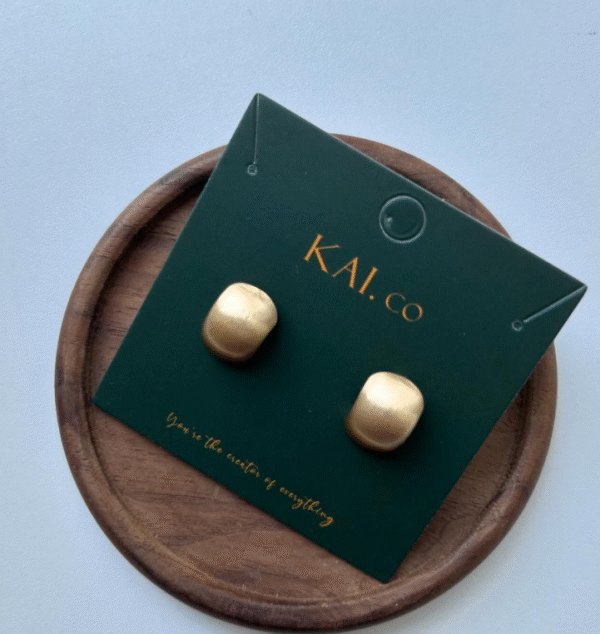 Kõrvarõngad KAI-14