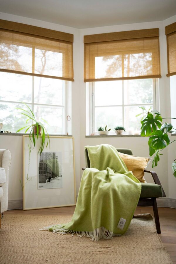 Mira villane pleed kiivi WSH-186