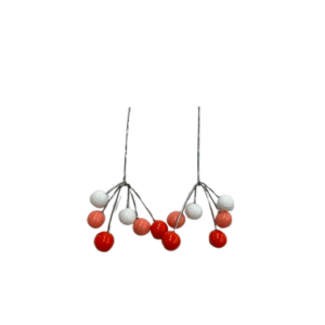 Kõrvarõngad ABE-76