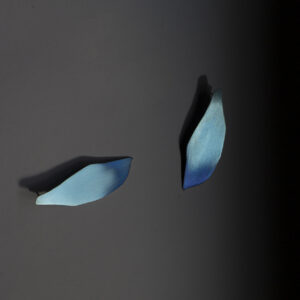 Kõrvarõngad MNJ-62