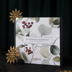 Talvemaagia komplekt NR-12