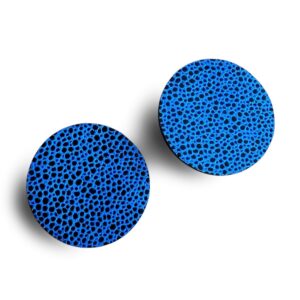 Kõrvarõngad PRV-21